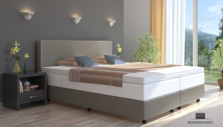 Lit Boxspring Emil 80 x 220 cm en gris-argenté