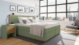 Lit Boxspring Max 160 x 210 cm en planche Vert